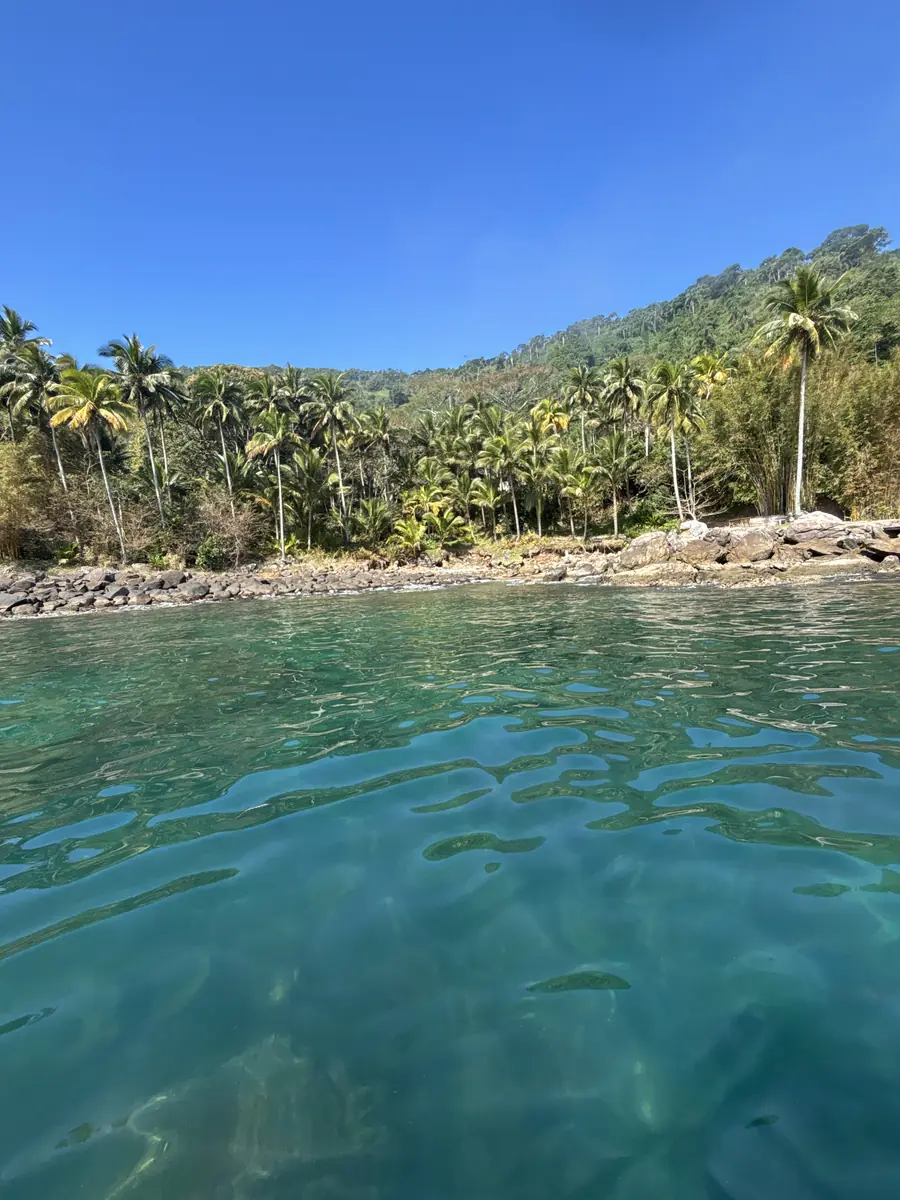 A costa de coqueiros da Ilha das Couves vista do mar, com a água verde sobre o fundo de areia.