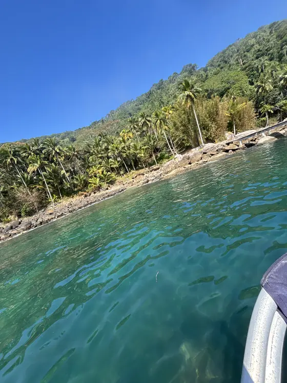 A encosta de mata e coqueiros da Ilha das Couves, vista da lateral do barco.