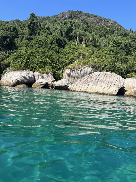 A linha de pedras claras do Montão do Trigo ao pé da mata, com o mar turquesa na frente.