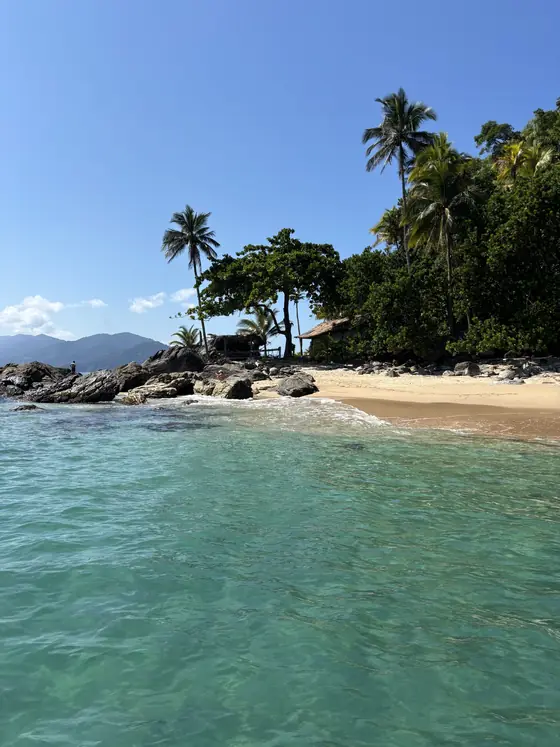 Praia com coqueiros e pedras, vista de dentro do mar.