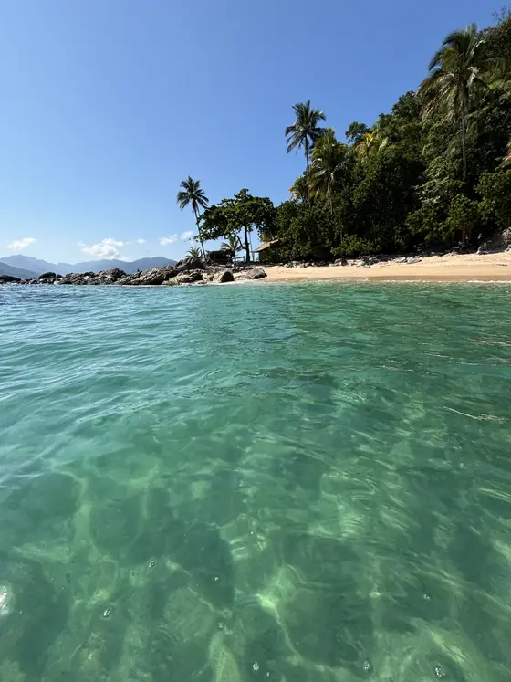 Praia com coqueiros vista da água rasa.