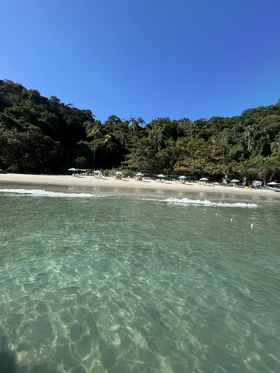Praia da Ilha dos Gatos com guarda-sóis na areia.